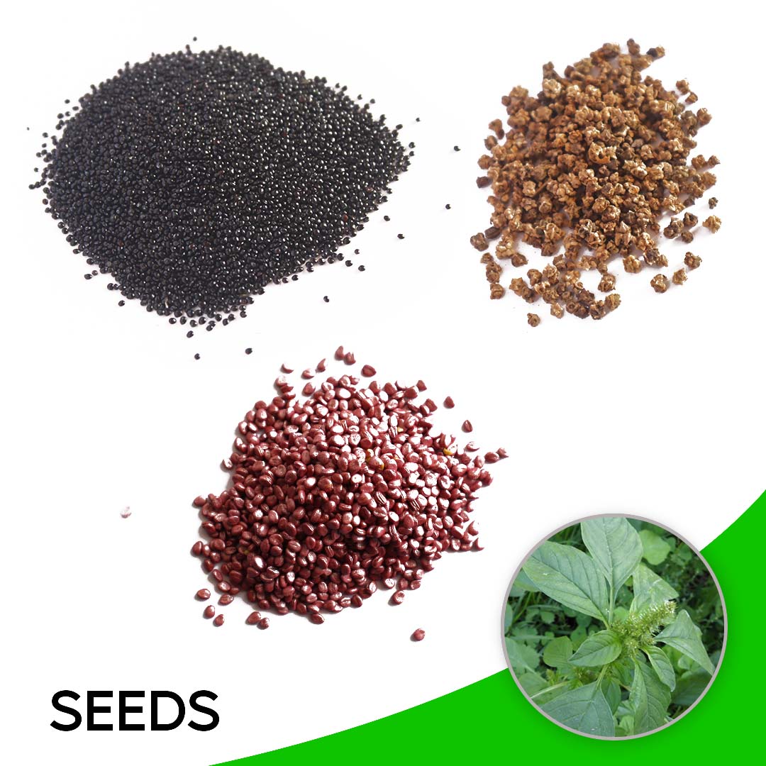 Fertilizer And Seeds